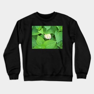 Hydrangea Crewneck Sweatshirt